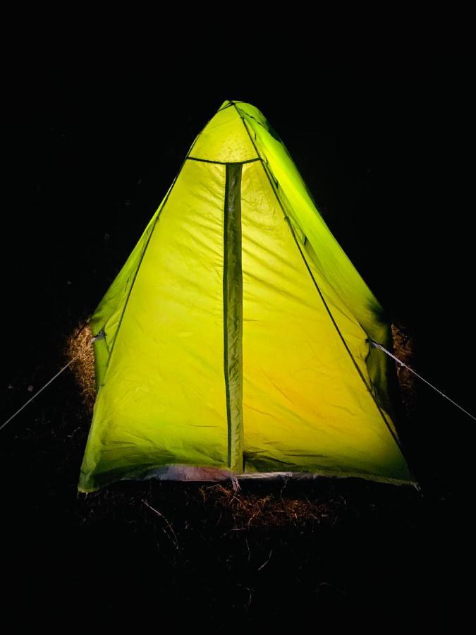 Ostello Dreamwoods A Travellers Farm Dharamshala Esterno foto