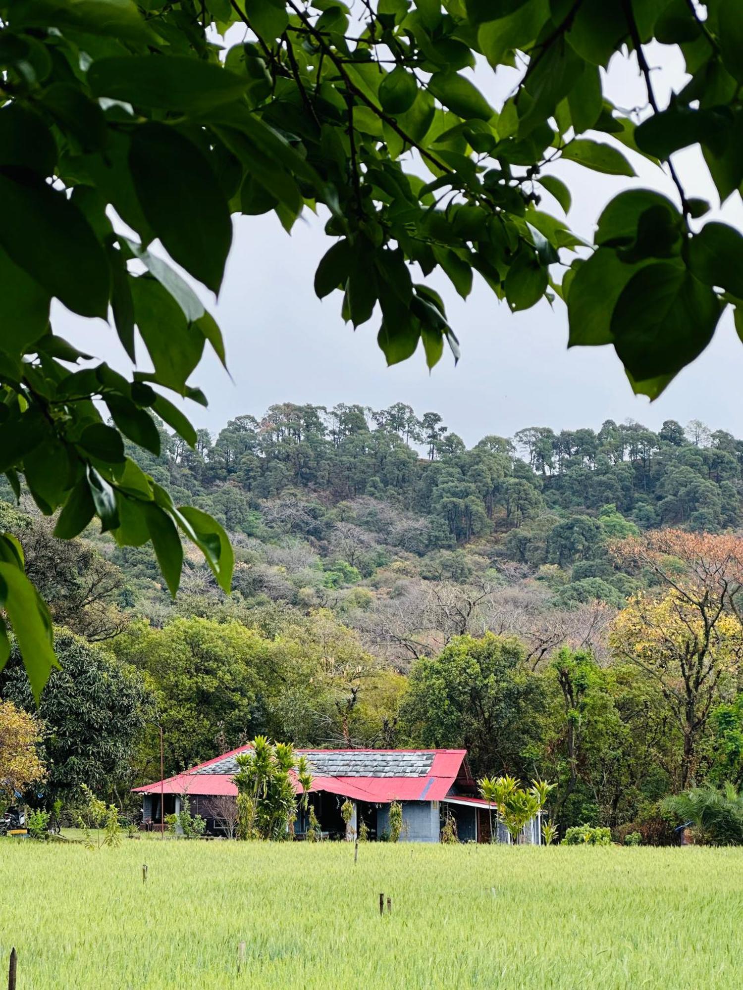 Ostello Dreamwoods A Travellers Farm Dharamshala Esterno foto