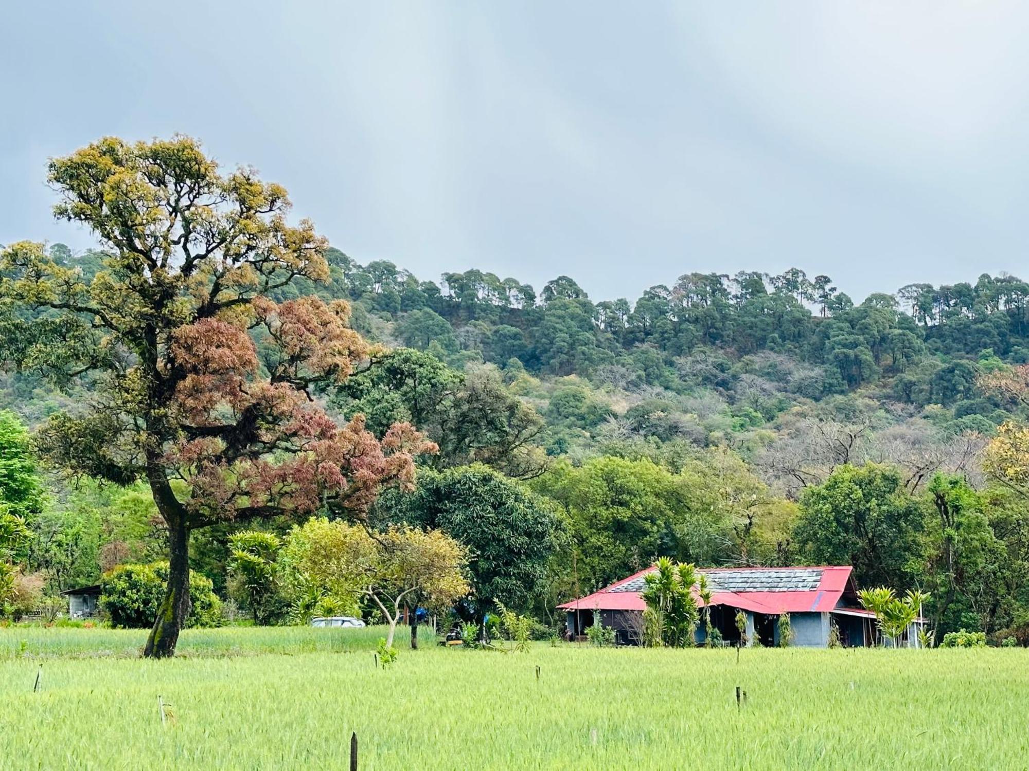Ostello Dreamwoods A Travellers Farm Dharamshala Esterno foto