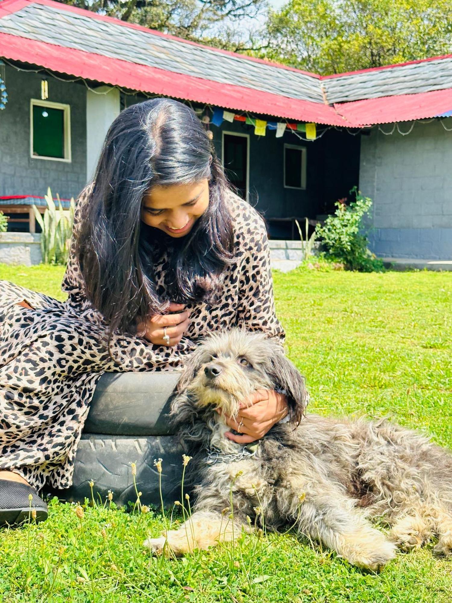 Ostello Dreamwoods A Travellers Farm Dharamshala Esterno foto